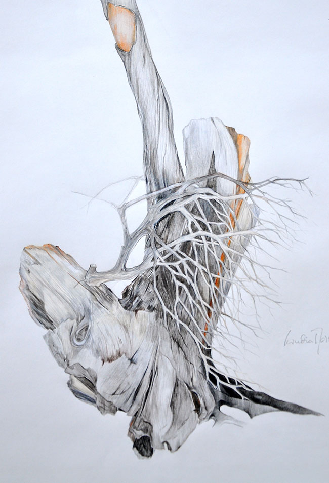 Am See und in der Natur zeichnen